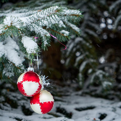The image of toys on the Christmas tree.