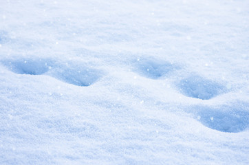Fototapeta na wymiar snowdrift of snow in the winter park, winter background