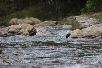river