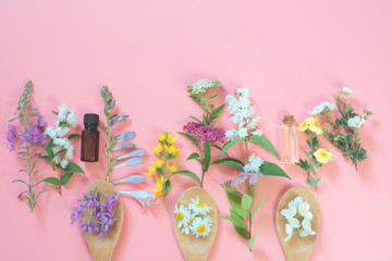Different meadow wild flowers on pink background. Floral composition with copy space. View from above. Spa concept.