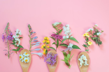 Different meadow wild flowers on pink background. Floral composition with copy space.