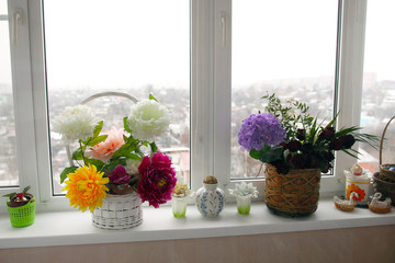 flowers beautiful room standing on the sill