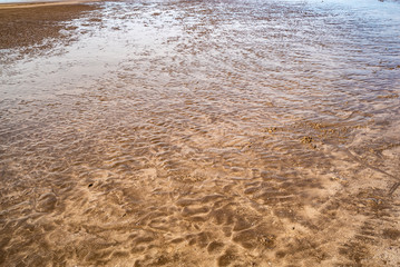 Sandy shore. extraordinary background