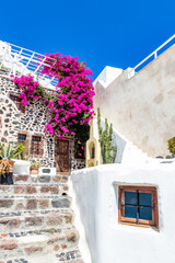 Fototapeta na wymiar Beautiful entrance of a white House decorated with blooming bourgainvillea in Fira, Santorini, Greece