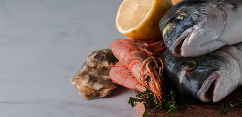 fresh sea fish dorado with oysters and shrimp and vegetables. Delivered on a dark base