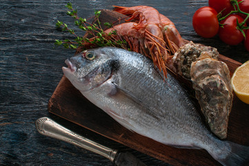 fresh sea fish dorado with oysters and shrimp and vegetables. Delivered on a dark base