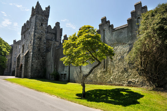 The Old Castle In Howth. Ireland