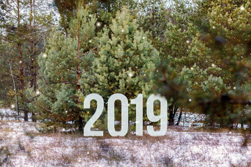The numbers of the coming year are standing at the glittering pine trees of the winter forest background.