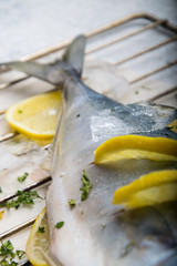 tail of fresh tuna close up