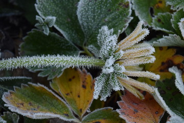 winter coming soon