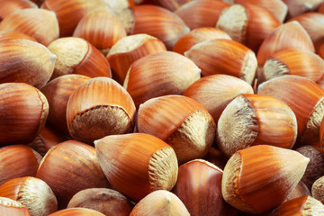 Hazelnut close up. Hazelnut background.