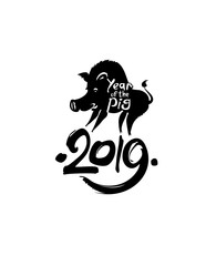 Wild pig 2019. Handwritten template with the inscription 2019 and Pig. Imitation of painting with brush and ink. New Year on the Chinese calendar.