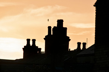 Obraz premium The roofs of Dublin