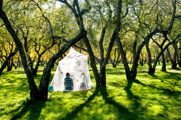 Picnic in apple garden © yuplex