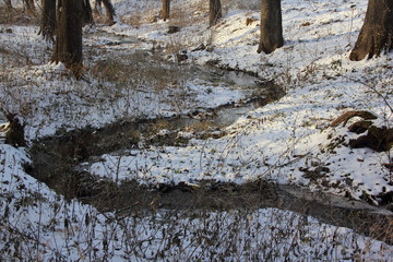Meander forest brook in the afternoon at the beginning of winter - first snow, frost, beautiful european woodland landscape