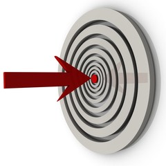 3d target with arrow