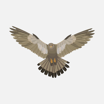 Eagle clip art preview