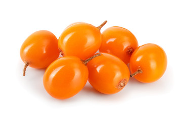 Sea buckthorn. Fresh ripe berry isolated on white background macro