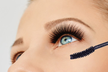 Female eye with extreme long eyelashes and brush of mascara. Make-up, cosmetics, beauty