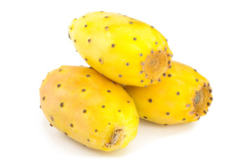 yellow prickly pear or opuntia isolated on a white background