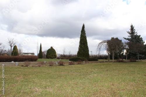 Grass Field Sky Landscape Meadow Nature Green Blue