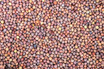 Peas. Red pea. Chickpea. (rare type of red pea) Background.