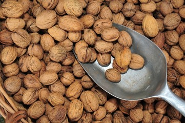 Walnut (Juglans regia)