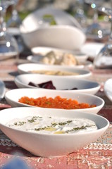 Traditional Cypriot meze and kebap barbecue party in the garden with delicious mix meat and chicken kebaps