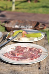Traditional Cypriot meze and kebap barbecue party in the garden with delicious mix meat and chicken kebaps
