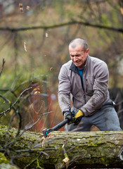 Farmer working on a tree