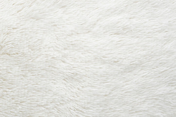 fur white background. Close up pile