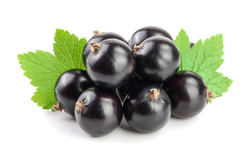 black currant with leaf isolated on white background