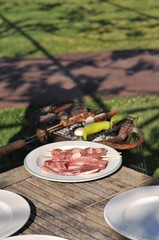 Traditional Cypriot meze and kebap barbecue party in the garden with delicious mix meat and chicken kebaps