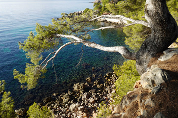 Top view from the cliff © Marjorie