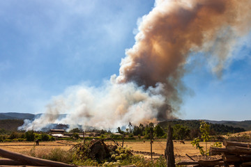 Fototapeta na wymiar Forest Fire at Angol, Bio Bio Region, Chile.