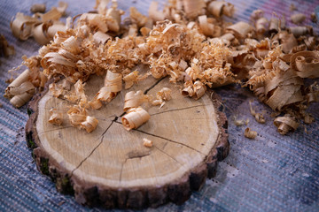 Wood shavings and Ashen tree cross section on the carpenter's workbench close up: woodworking and carpentry concept
