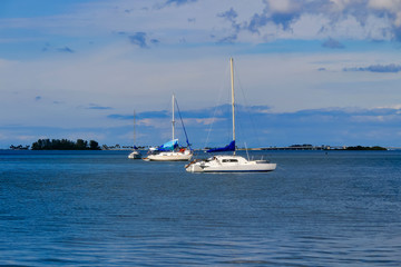 Obraz premium Sailboats in the sea