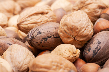 Macro shot of different nuts: almond, walnut, hazelnut and pecan on burlap background.