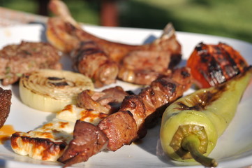 Traditional Cypriot meze and kebap barbecue party in the garden with delicious mix meat and chicken kebaps