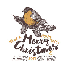 Vector illustration of Merry Christmas and Happy New Year with hand drawn bullfinch on fir branch. Holiday festive label, emblem or badges in sketch engraving style