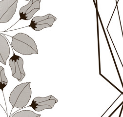 flowers with leaves and geometrical lines icon