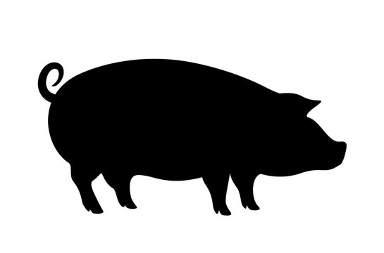 Hog vector icon