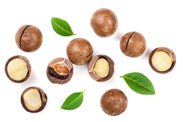 Shelled and unshelled macadamia nuts with leaves isolated on white background. Top view. Flat lay pattern