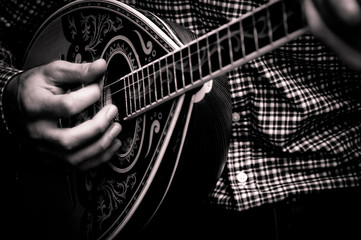 bouzouki closeup