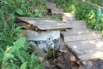 River Forest Trees Spring Water