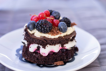 Chocolate cake with blackberry, cranberry and blueberry