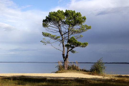 Biscarrosse - Lac Maguide
