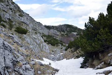 Durmitor national park. Mountains, near Bobotov Kuk. Montenegro.