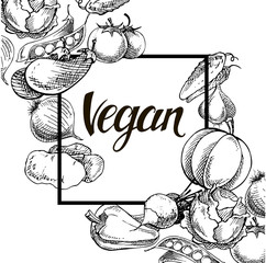 Vegan food concept. Hand drawn vector