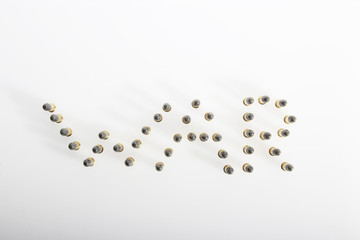 war wrote with bullets.